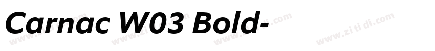 Carnac W03 Bold字体转换